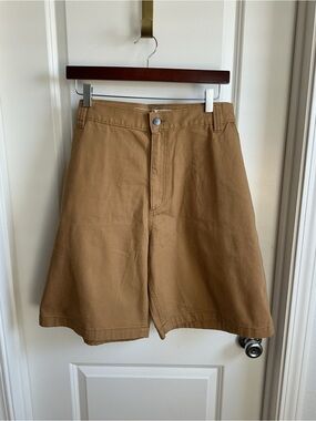 Carhartt Men's Shorts in Brown-Tan